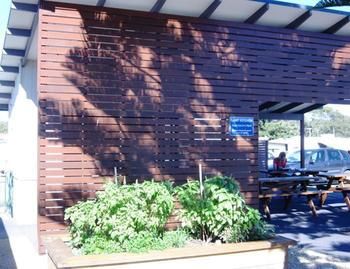 Woolgoolga Beach Holiday Park - Surfers Gold Coast 6