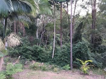 Mapleton Cabins & Caravan Park - Surfers Gold Coast 27
