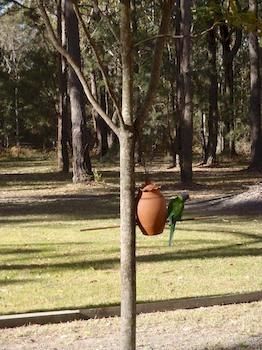 Woollamia Village Retreat - Surfers Gold Coast 2