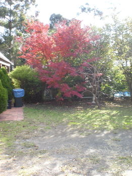 Woollamia Village Retreat - Surfers Gold Coast 29