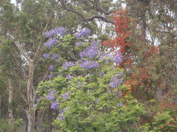 Woollamia Village Retreat - Surfers Gold Coast 40