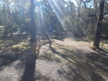 Woollamia Village Retreat - Surfers Gold Coast 43