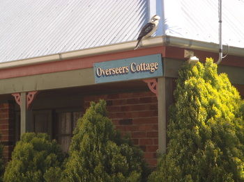 Woollamia Village Retreat - Surfers Gold Coast 58