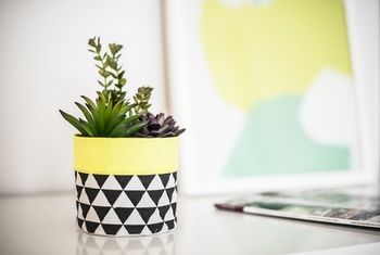 Apartment2c - Metro - Surfers Gold Coast 12