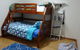 Dolphin Holiday House - thumb 8