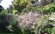 Donalea Bed & Breakfast Tasmania - thumb 3