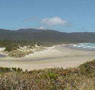 Cloudy Bay Cabin - Surfers Gold Coast