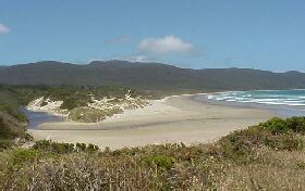 Cloudy Bay Cabin - Surfers Gold Coast 0