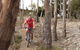 Tranquil Point Retreat - thumb 1