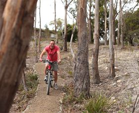 Tranquil Point Retreat - Surfers Gold Coast 1