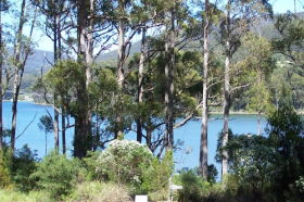 Classic Cottages S/C Accommodation - Surfers Gold Coast 1
