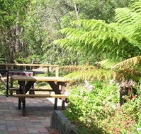 Blackwood Studio Accommodation - The Cottage - Surfers Gold Coast