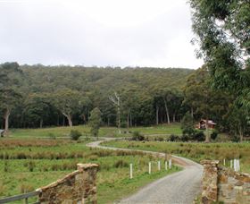 Adventure Bay Retreat Accommodation - Surfers Gold Coast 2