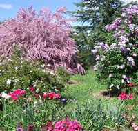 Elmshurst - Surfers Gold Coast