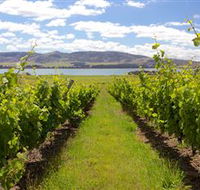 Riversdale Estate Cottages - Surfers Gold Coast