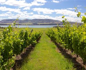 Riversdale Estate Cottages - Surfers Gold Coast 0