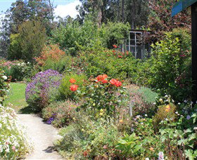 Thelma Retreat - Surfers Gold Coast 2