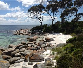 Lake Eckersley Campground - Surfers Gold Coast 2