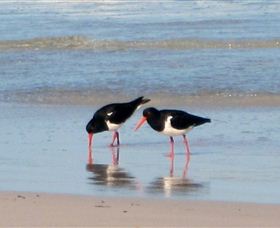 Lake Eckersley Campground - Surfers Gold Coast 4