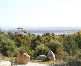 Aplite House - Surfers Gold Coast 4