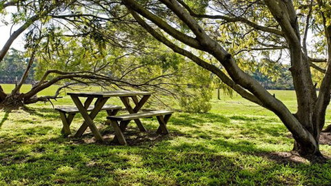 Freshwater Creek Cottages - Surfers Gold Coast 4