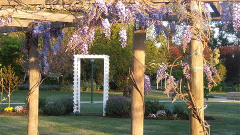 Stableford House Bed & Breakfast - Surfers Gold Coast 5