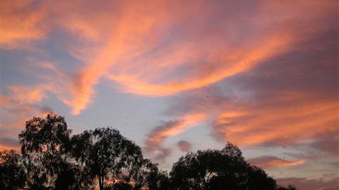 Auberge Woodend - Surfers Gold Coast 4