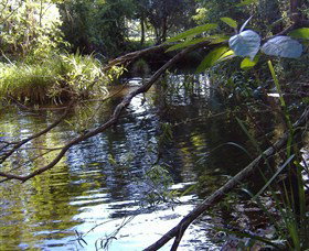 Mary Anns Cottage - Surfers Gold Coast 1