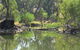River Gardens Bed And Breakfast Farmstay - thumb 2