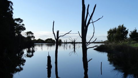 A Fare With Nature @ Prom Road Farm - Surfers Gold Coast 6