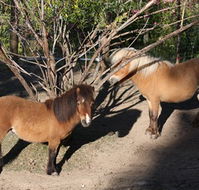 Cloud End Farmstay - Surfers Gold Coast