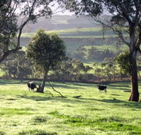 Bellevue Farmstay - Surfers Gold Coast