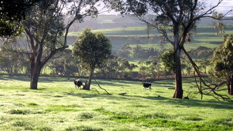 Bellevue Farmstay - Surfers Gold Coast 0