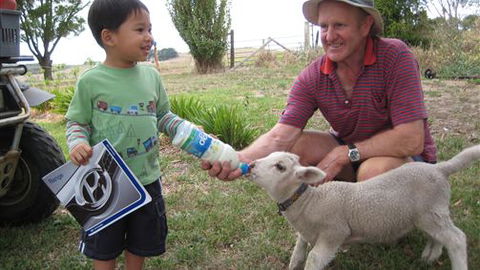 Bellevue Farmstay - Surfers Gold Coast 1