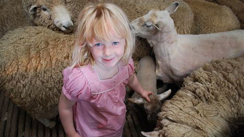 Bellevue Farmstay - Surfers Gold Coast 4