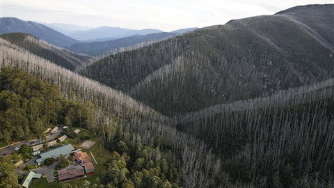 Howmans Gap Alpine Centre, YMCA - Surfers Gold Coast 0