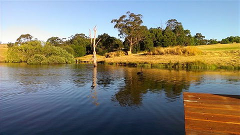 Cygnet Park Country Retreat - Surfers Gold Coast 4