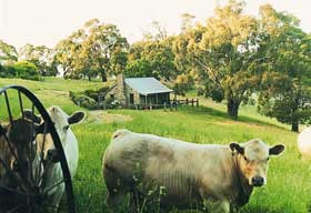 Adelaide Hills Country Cottages - Gum Tree Cottage - Surfers Gold Coast 1
