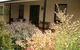 Cotton Palm Cottage - thumb 0