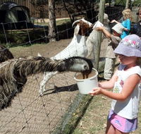 BIG4 Bairnsdale Holiday Park - Surfers Gold Coast