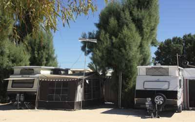 Blue Dolphin Caravan Park & Holiday Village - Surfers Gold Coast 3