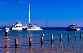 Blue Dolphin Caravan Park & Holiday Village - Surfers Gold Coast 4