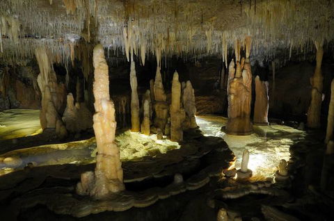 Buchan Caves Reserve - Surfers Gold Coast 3