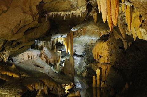 Buchan Caves Reserve - Surfers Gold Coast 4