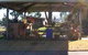 Canowindra Caravan Park - thumb 0