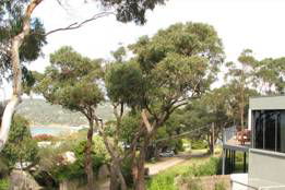 Chatby Lane Lorne - Surfers Gold Coast 4