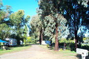 Cudal Caravan Park - Surfers Gold Coast 0