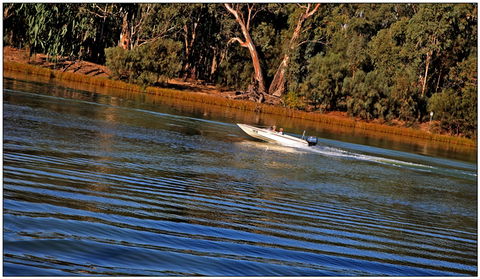 Euston Club Cabin Resort - Surfers Gold Coast 7