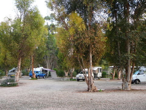 Gladstone Caravan Park - Surfers Gold Coast 3