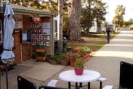 Griffith Caravan Village - Surfers Gold Coast 1